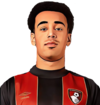 Tyler Adams