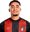 Marcus Tavernier