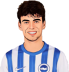 Matt O'Riley