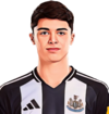 Lewis Miley