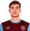 Zian Flemming