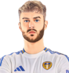 Joe Rodon