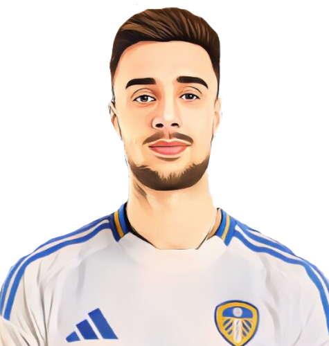 Ilia Gruev