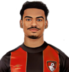 Amine Adli
